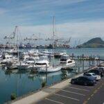 Tauranga Bridge Marina